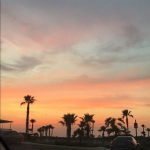 Meet your Posher, Tayler